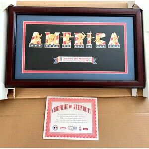 '96 OLYMPICS Pin Set AMERICA THE BEAUTIFUL Framed COA Ltd Ed #264 Wall Decor Art